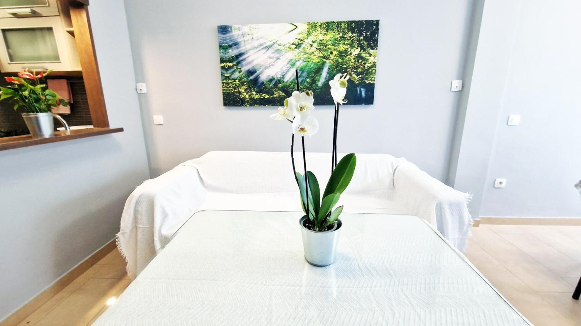 Aa Guest - Sur Sea Views Eco Apartment 贝纳尔马德纳 外观 照片